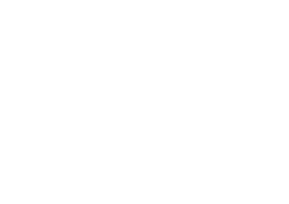 Lion İş Makinaları – Bursa Forklift Servisi Lion İş Makinaları – Bursa Forklift Servisi